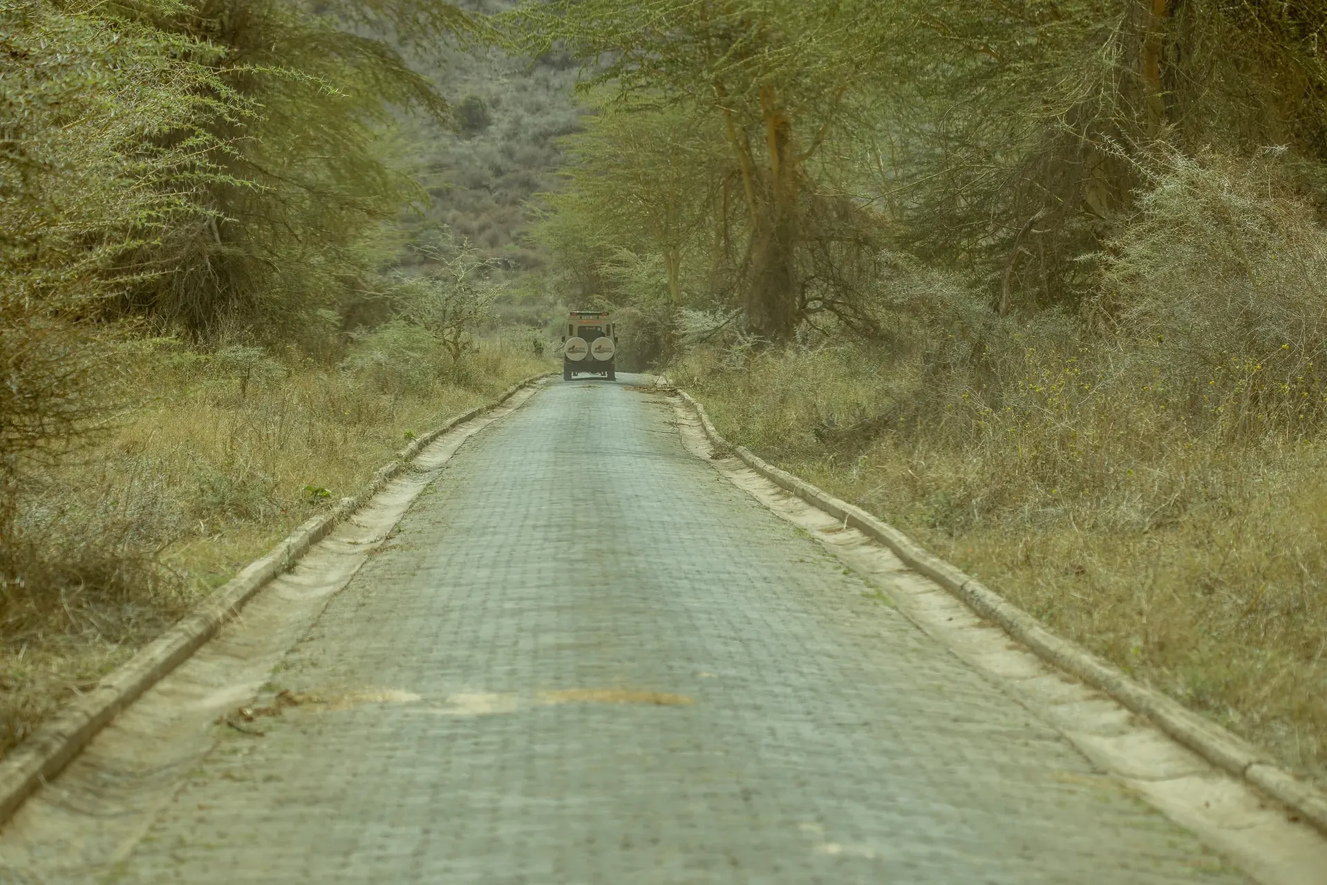 Travellers preparing for a guided Tanzania safari